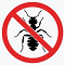 Ants Treatment