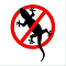 Lizard Control Services