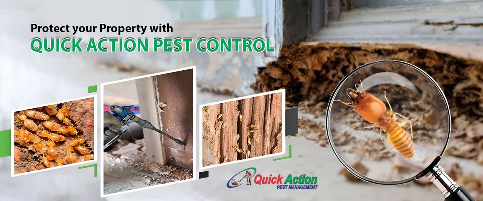 Quick Action Pest Control – Trusted Pest Solutions in Dombivli East