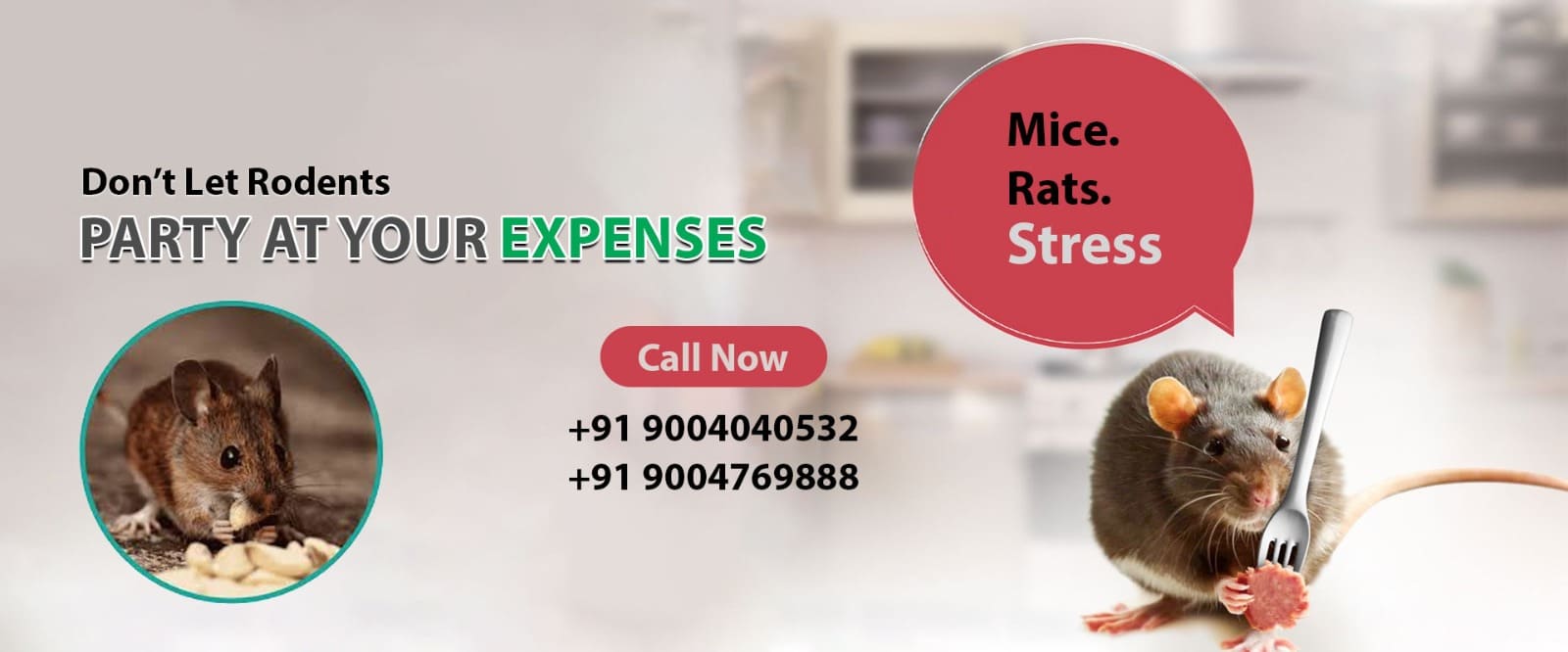 Quick Action Pest Control – Trusted Pest Solutions in Dombivli East