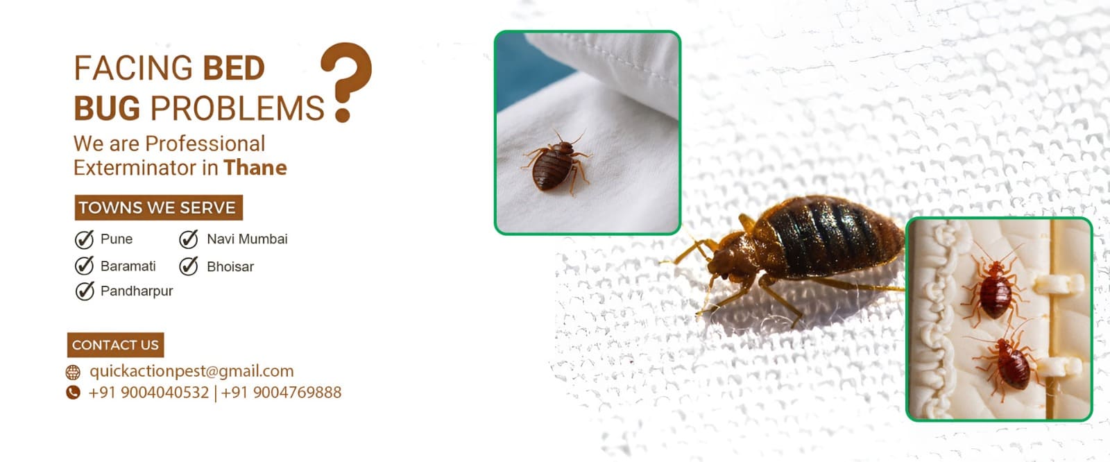 Quick Action Pest Control – Trusted Pest Solutions in Dombivli East