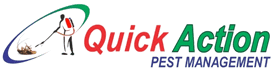 Quick Action Pest Control – Trusted Pest Solutions in Dombivli East